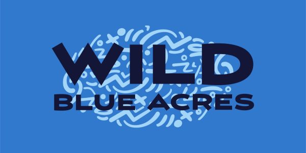 wild blue blue